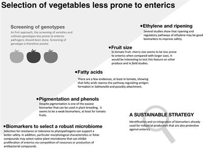 Frontiers in Plant Breeding: Perspectives for the Selection of Vegetables Less Susceptible to Enteric Pathogens